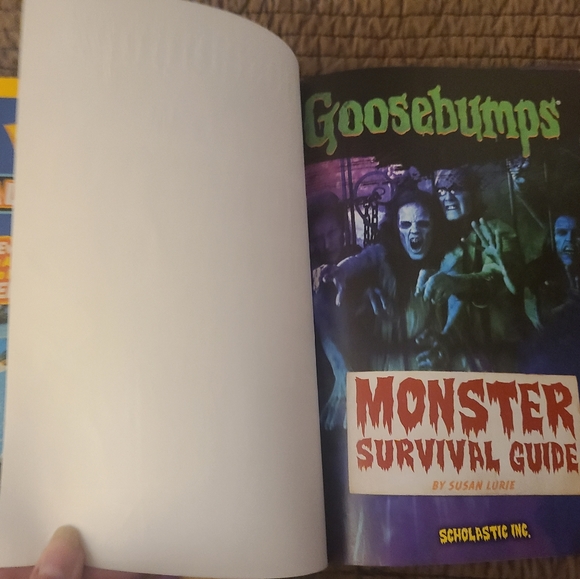 Young Adult Books - Picture 8 of 10